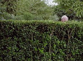 realtors hedge jennifer fleschner realtor